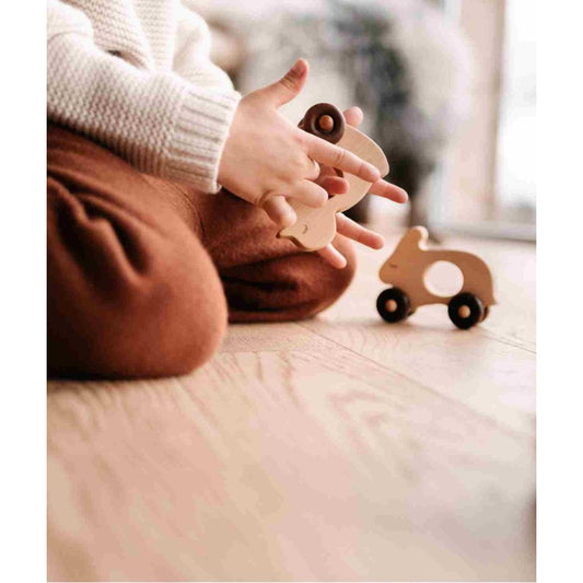 canard en bois naturel avec roulettes