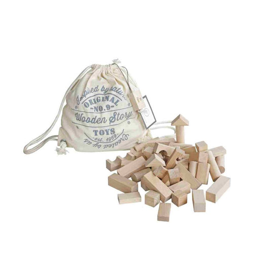 50 blocs en bois naturel jeux montessori